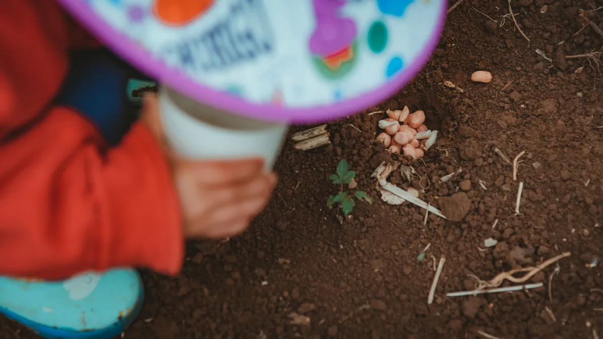 A child's hands planting seeds in brown soil