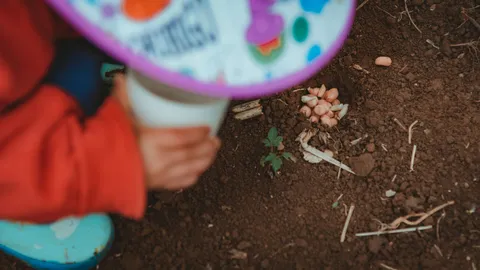 A child's hands planting seeds in brown soil