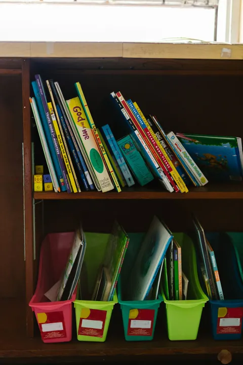 Children's books neatly arranged on a wooden shelf