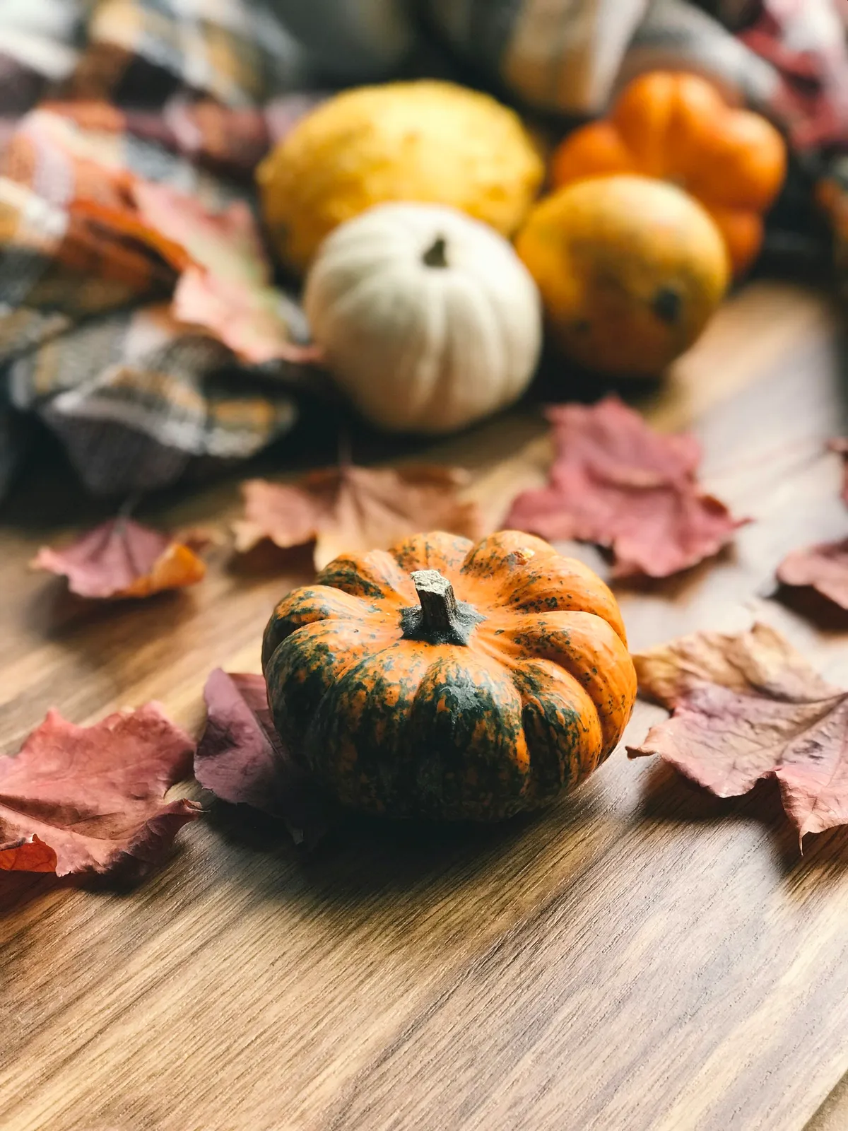 A small striped pumpkin surrounded by autumn leaves