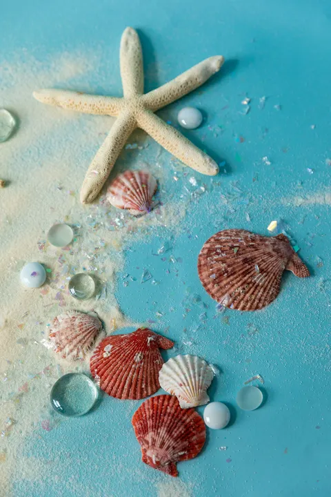 A beach-themed display with starfish and seashells on sand